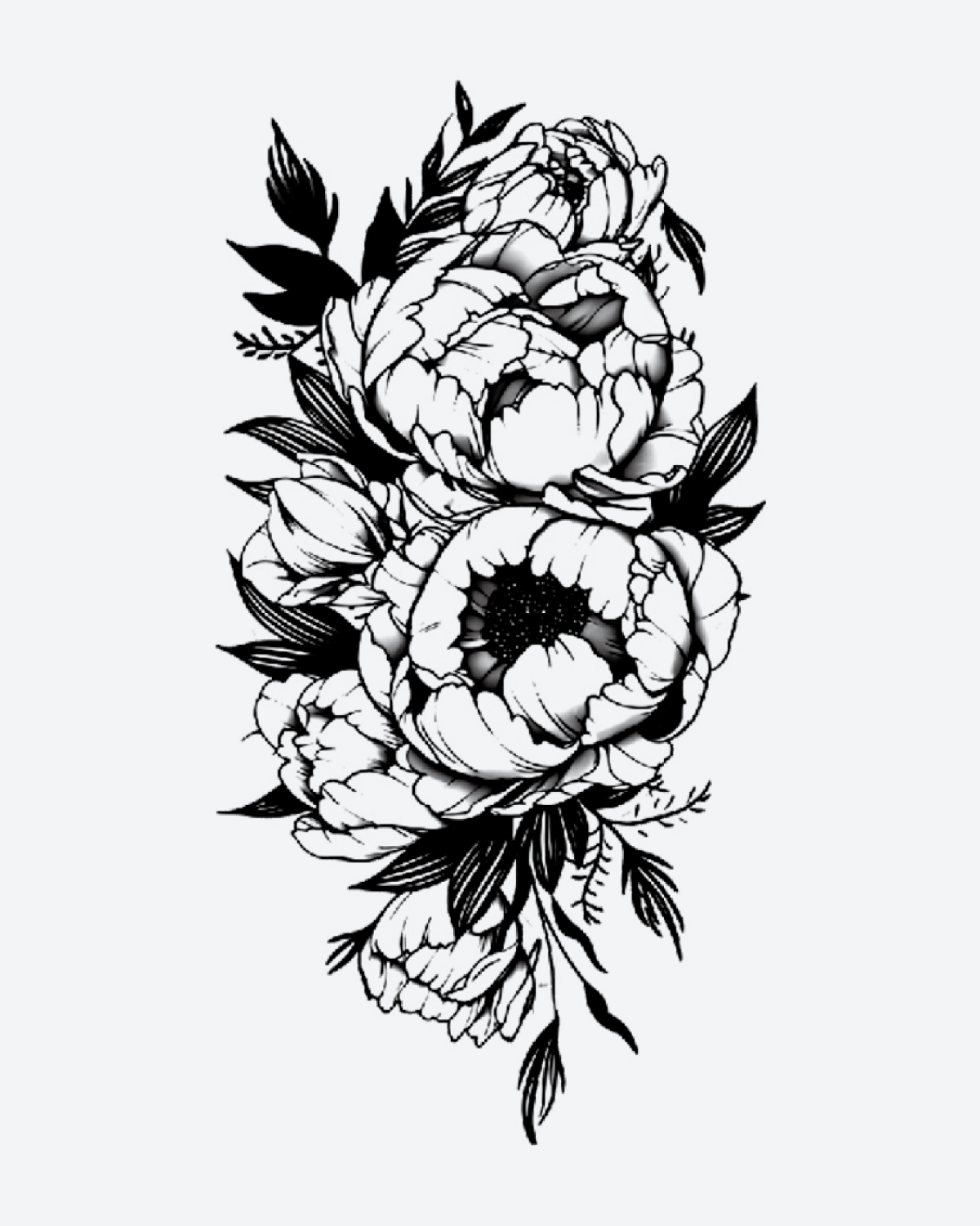 Blooming Peony