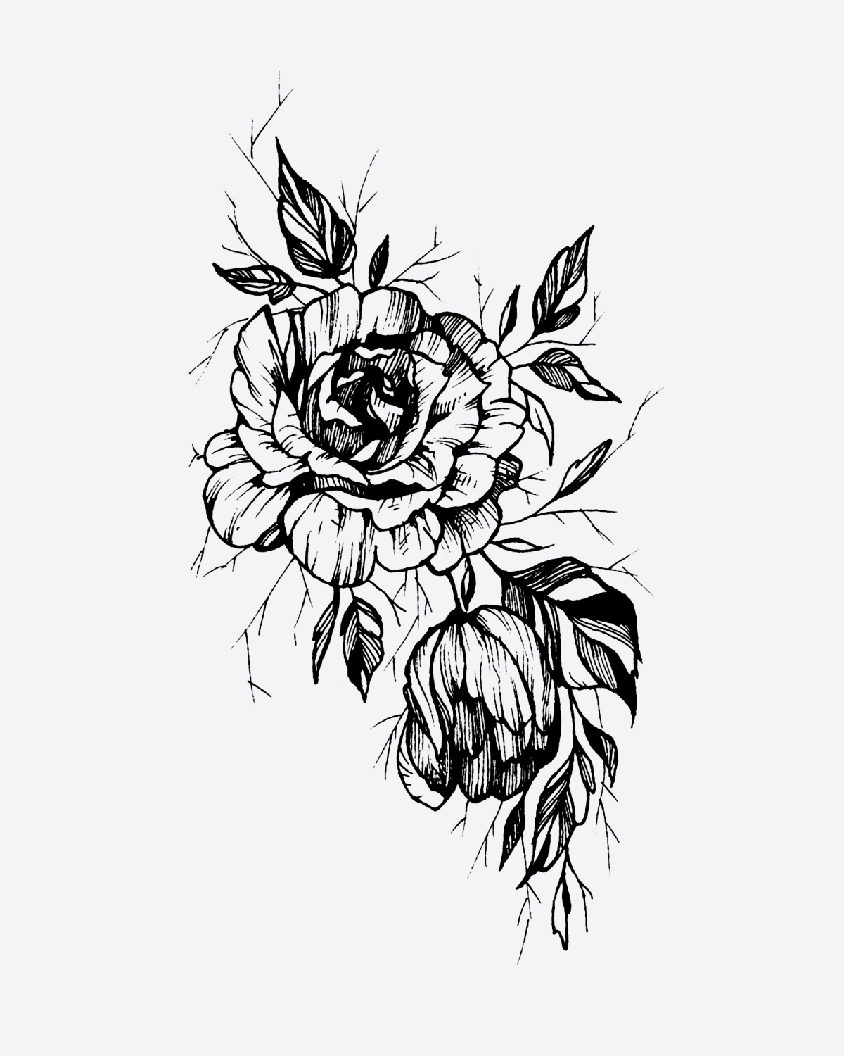 Wilt & Bloom