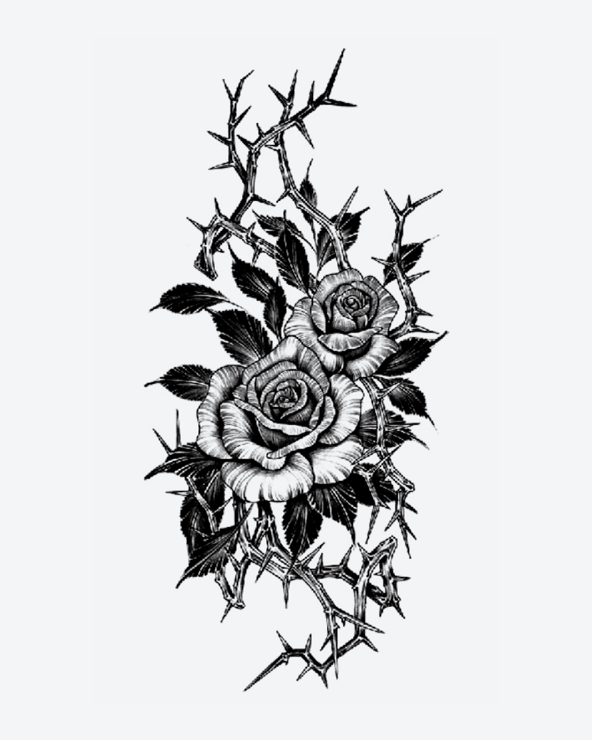 Thorned Rose