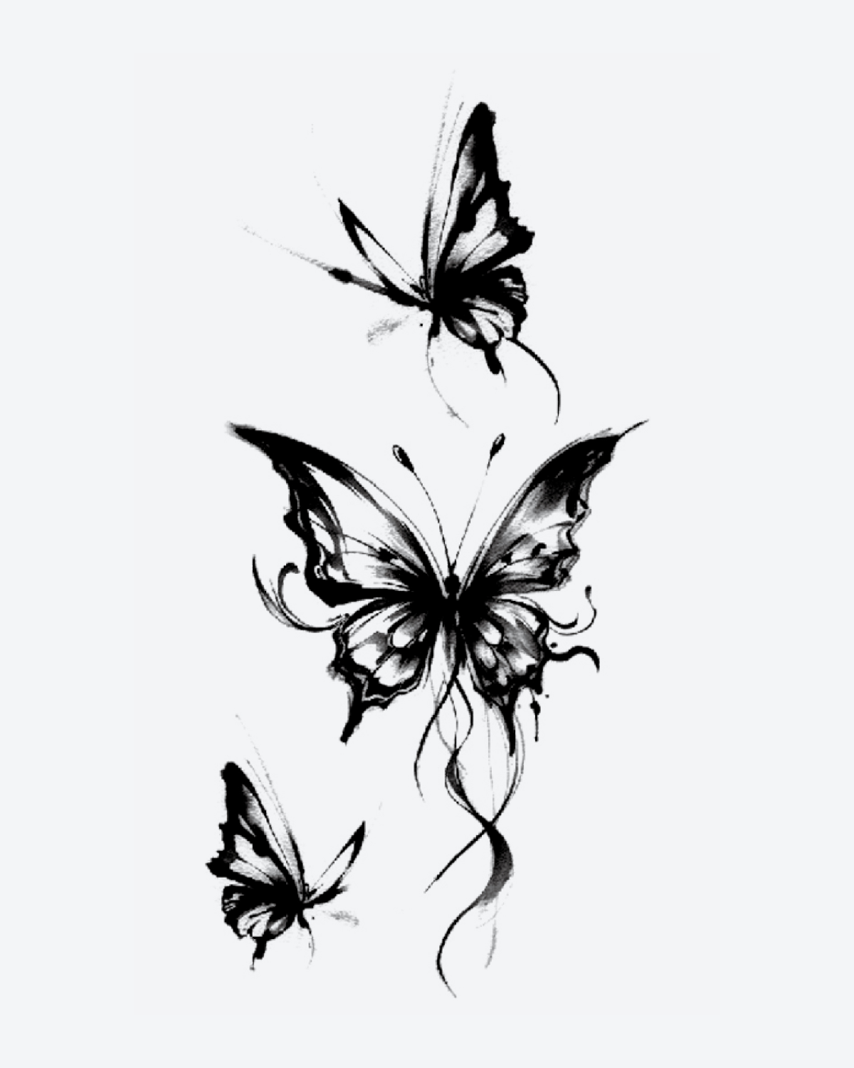 Elegant Butterflies
