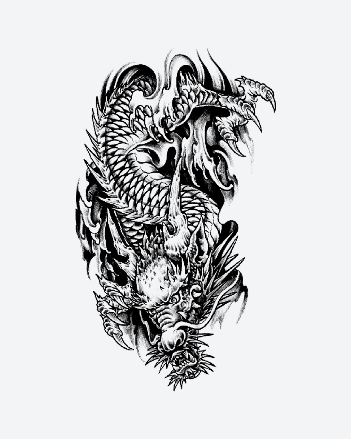 Fierce Dragon