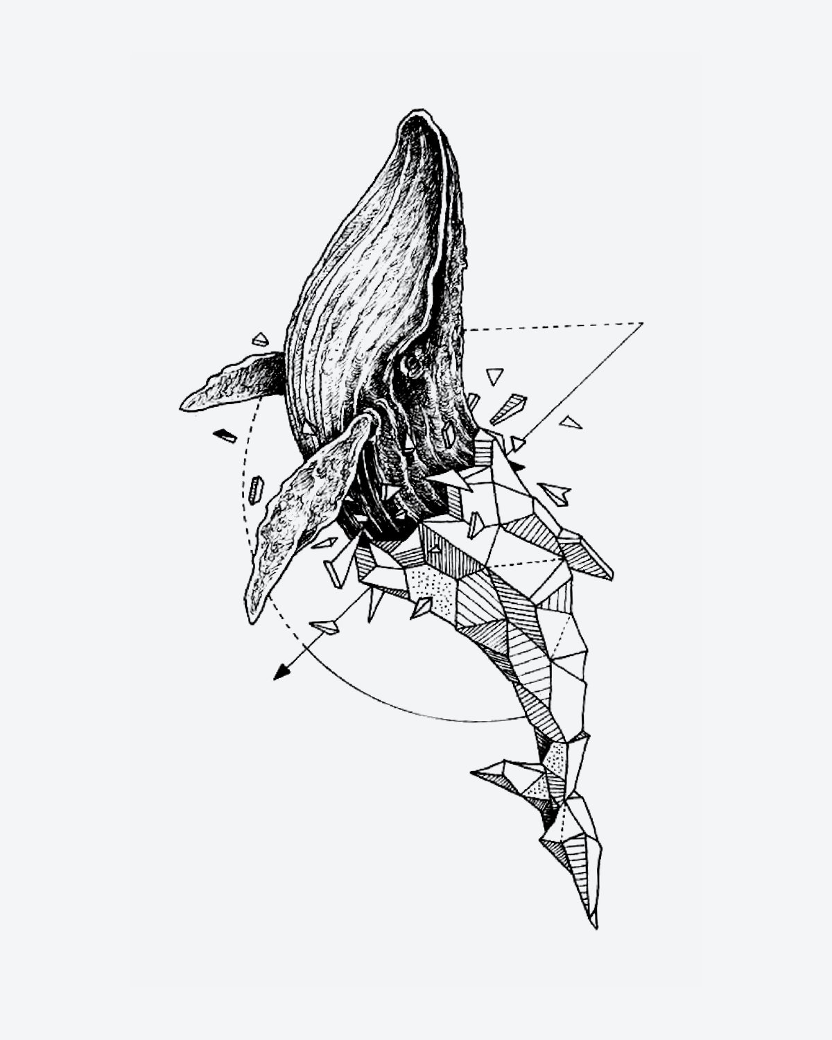 Structured Whale